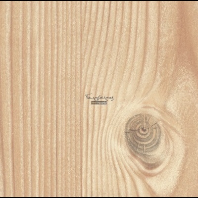 2002586 Αυτοκόλλητη ταπετσαρία ξύλινης όψης Branch pine Bright