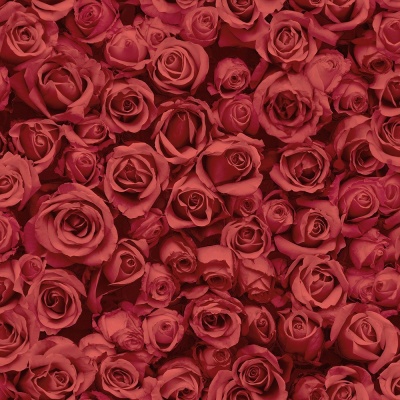 Ταπετσαρία τοίχου με Τριαντάφυλλα Κόκκινα FLL77010D 
