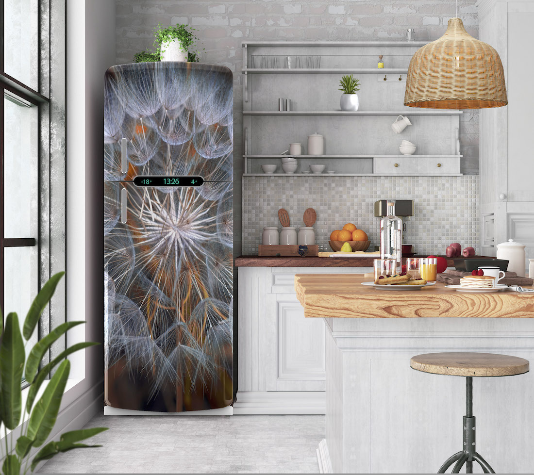Αυτοκόλλητο ψυγείου nordic πικραλίδα PS17