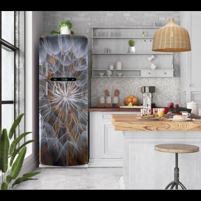 Αυτοκόλλητο ψυγείου nordic πικραλίδα PS17