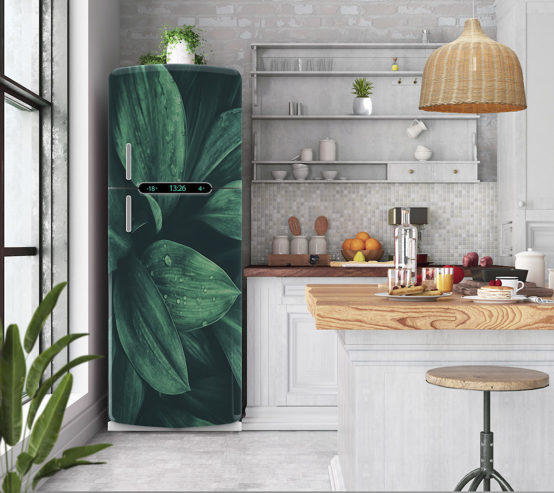 Αυτοκόλλητο ψυγείου botanical PS50